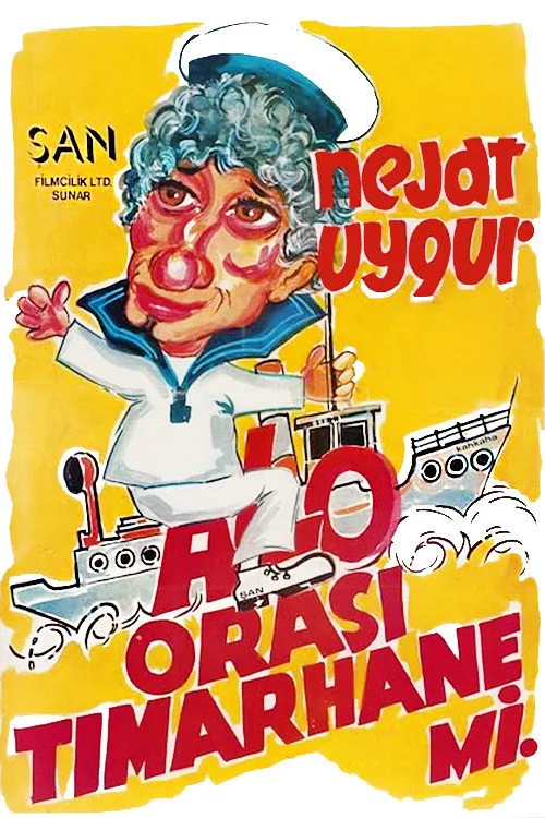 Alo Orası Tımarhane mi film posteri