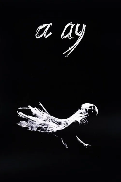 A Ay film posteri