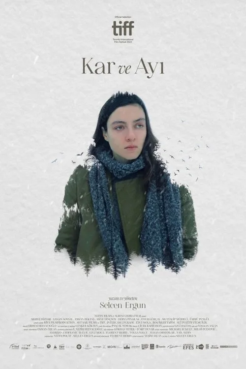 Kar ve Ayı film posteri