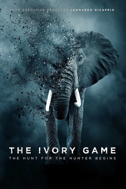 Fil Dişi Oyunu film posteri