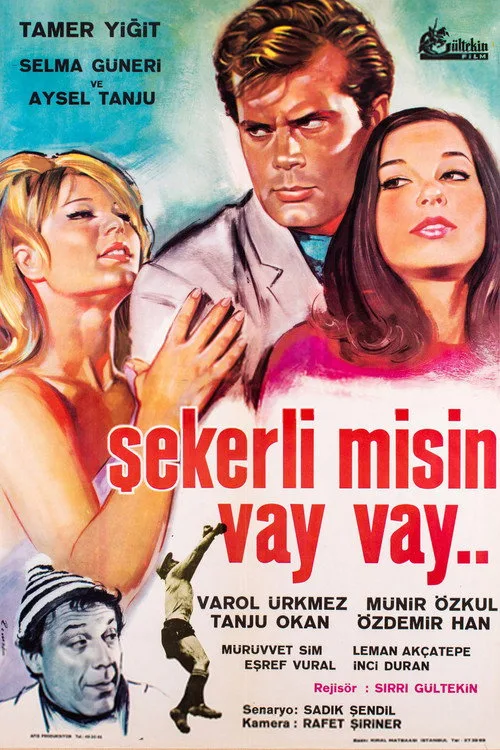 Şekerli Misin Vay Vay film posteri