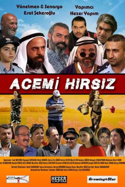 Acemi Hırsız film posteri