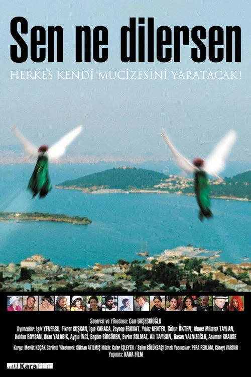 Sen Ne Dilersen film posteri