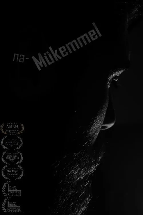 na-Mükemmel film posteri