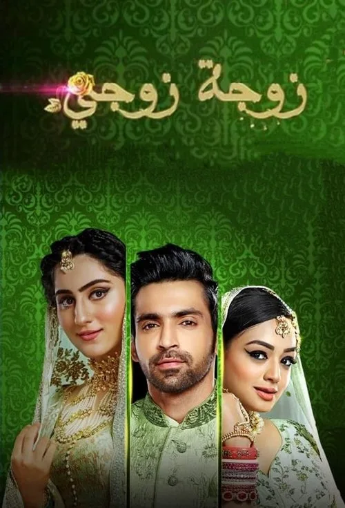 Aşk Sarmalı dizi posteri