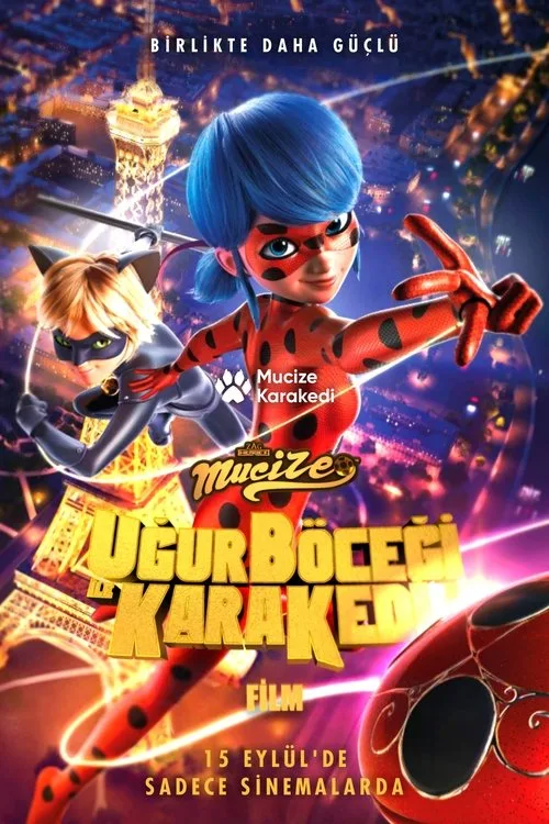 Mucize: Uğur Böceği ile Kara Kedi film posteri