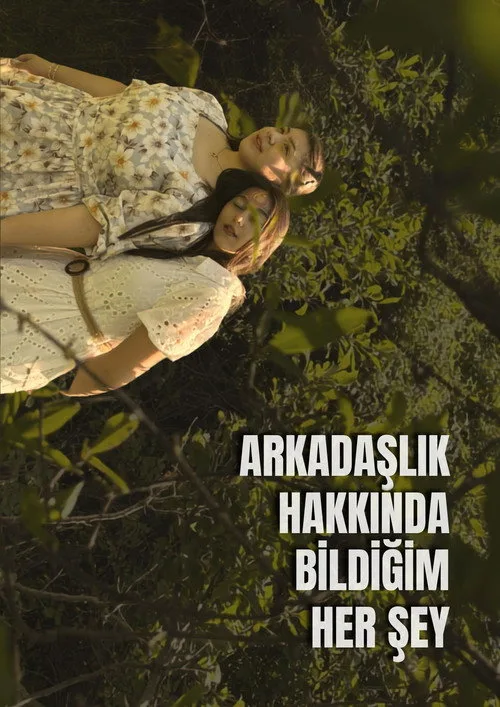 Arkadaşlık Hakkında Bildiğim Her Şey film posteri
