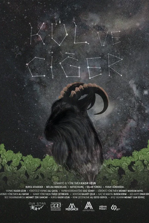Kül ve Ciğer film posteri