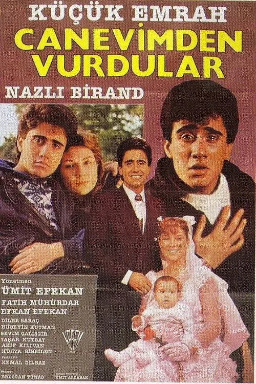 Can Evimden Vurdular film posteri