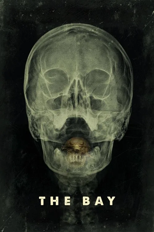 Körfezci film posteri