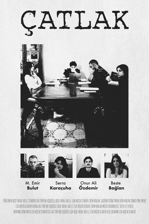 Çatlak film posteri