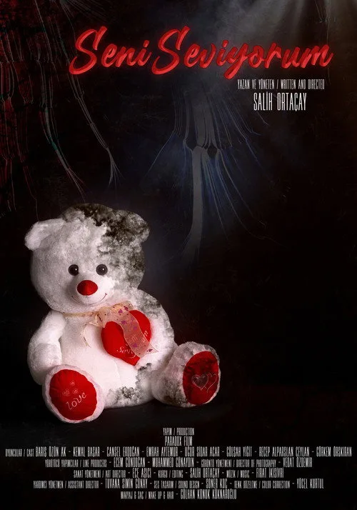 Seni Seviyorum film posteri