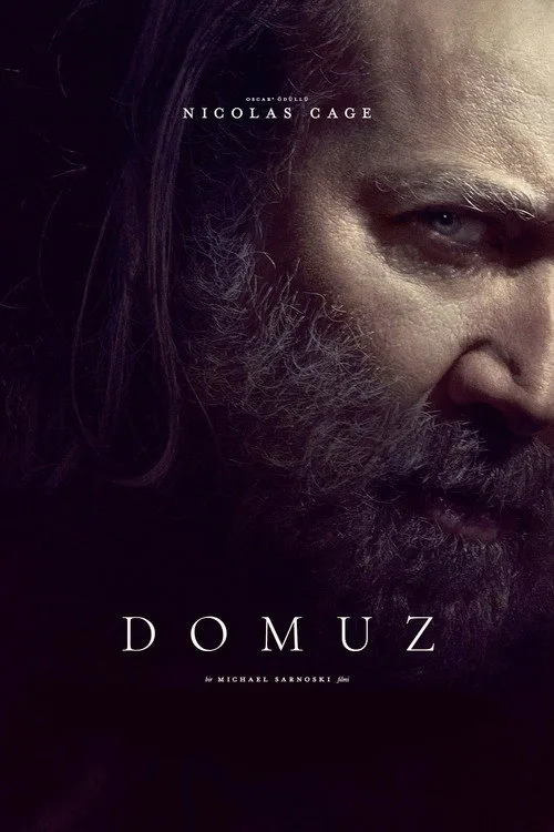 Domuz film posteri