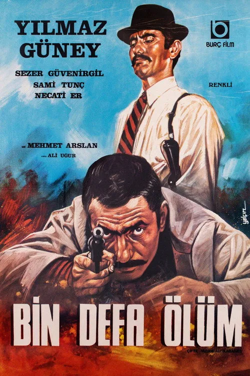 Çifte Tabancalı Kabadayı film posteri