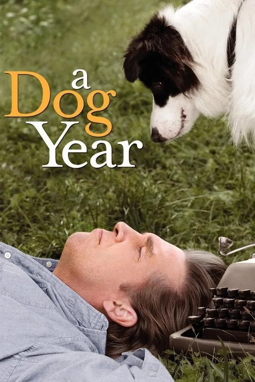 Bir Köpek Yılı film posteri