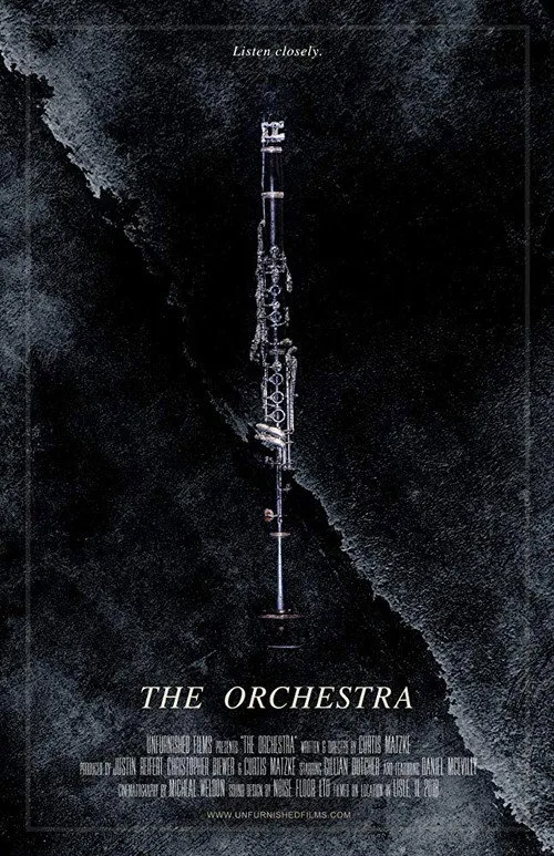 The Orchestra film posteri