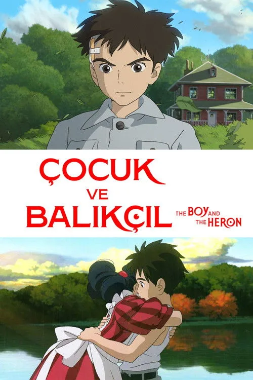 Çocuk ve Balıkçıl film posteri