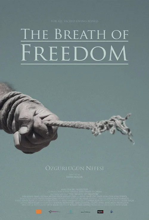 Özgürlüğün Nefesi film posteri