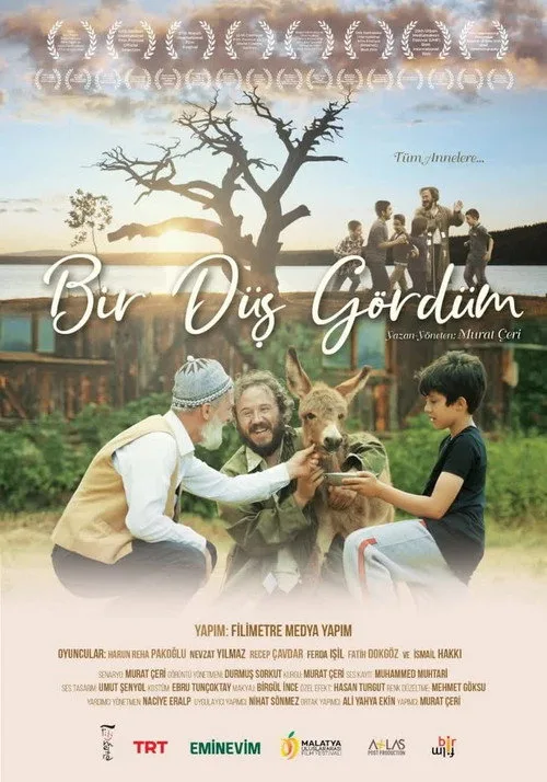 Bir Düş Gördüm film posteri