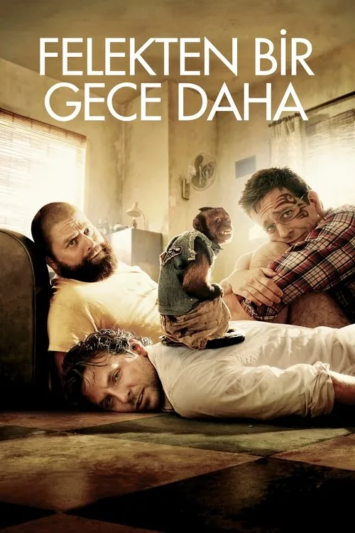 Felekten Bir Gece Daha film posteri