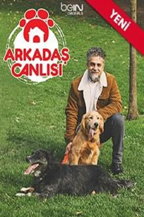 Arkadaş Canlısı dizi posteri