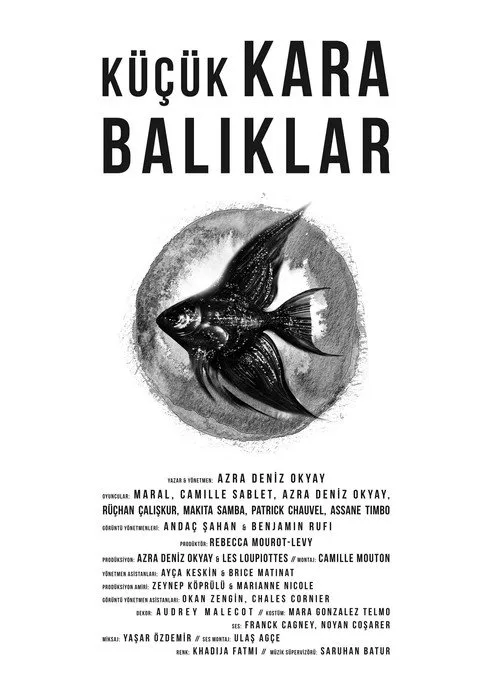 Küçük Kara Balıklar film posteri