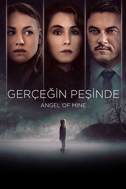 Gerçeğin Peşinde film posteri