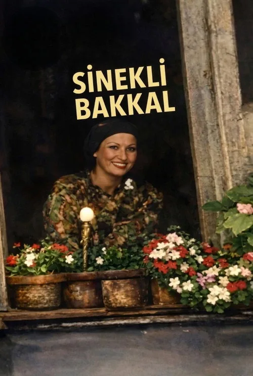 Sinekli Bakkal dizi posteri