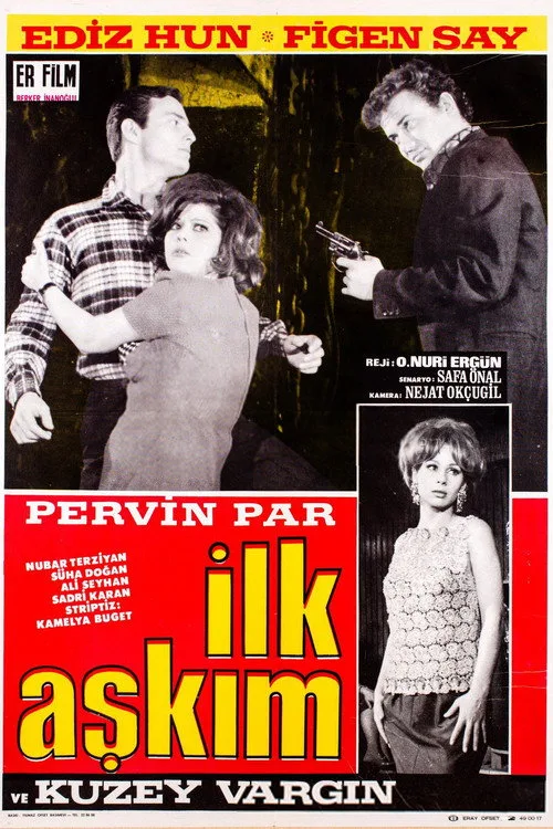 İlk Aşkım film posteri