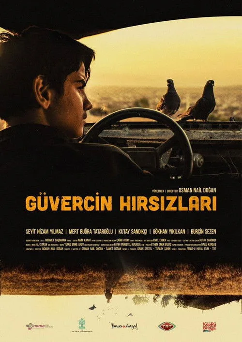 Güvercin Hırsızları film posteri