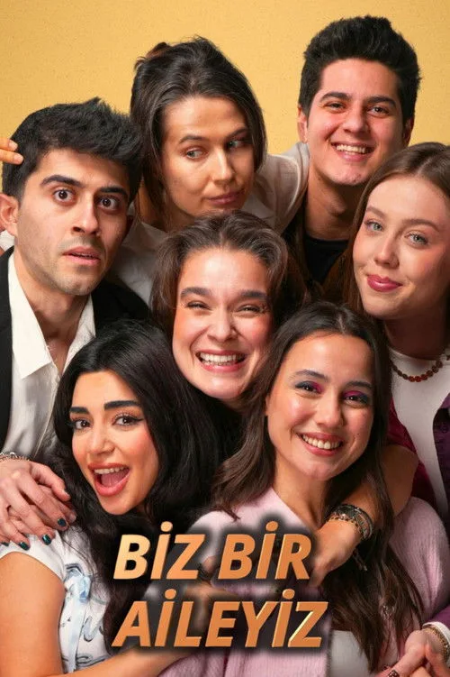 Biz Bir Aileyiz dizi posteri
