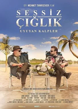 Sessiz Çığlık film posteri