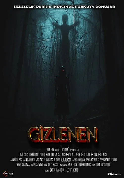 Gizlenen film posteri