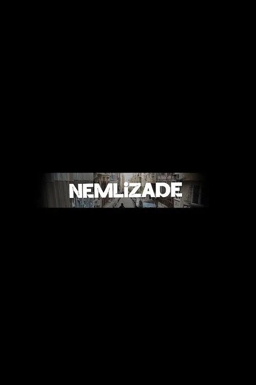 Nemlizade dizi posteri