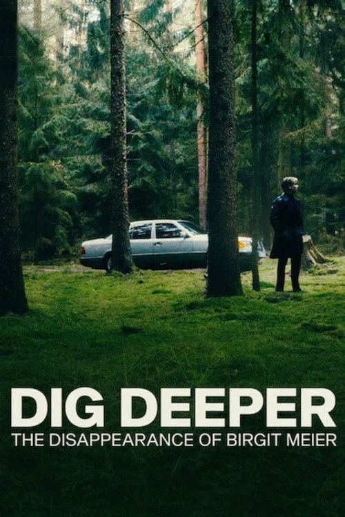 Dig Deeper: Das Verschwinden von Birgit Meier dizi posteri