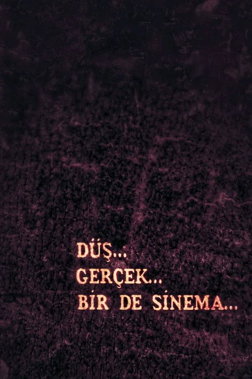 Düş, Gerçek, Bir de Sinema film posteri