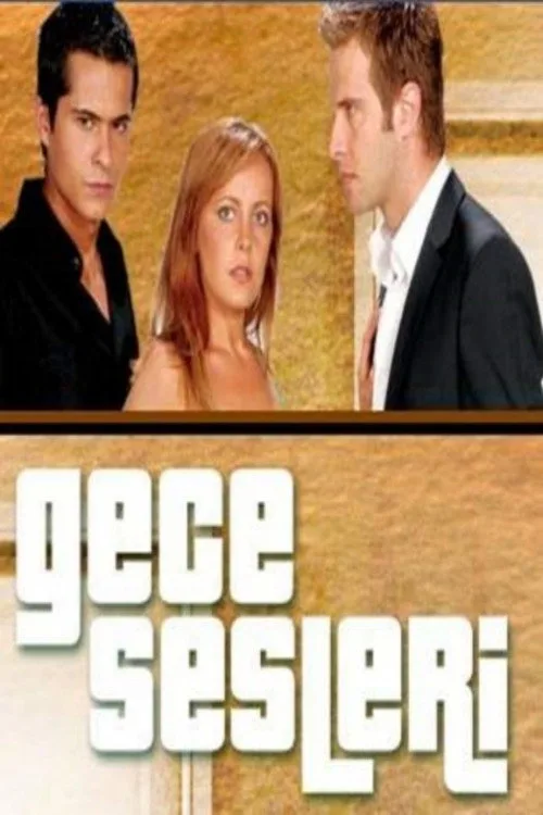 Gece Sesleri dizi posteri