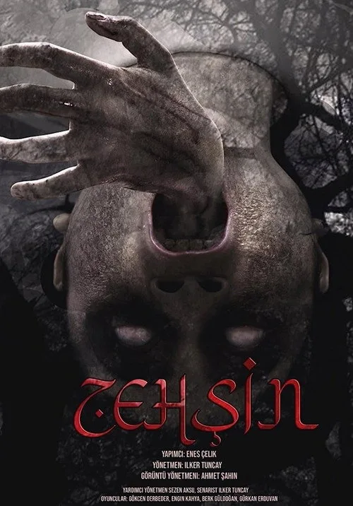 Zehşin Cin-i Musallat film posteri