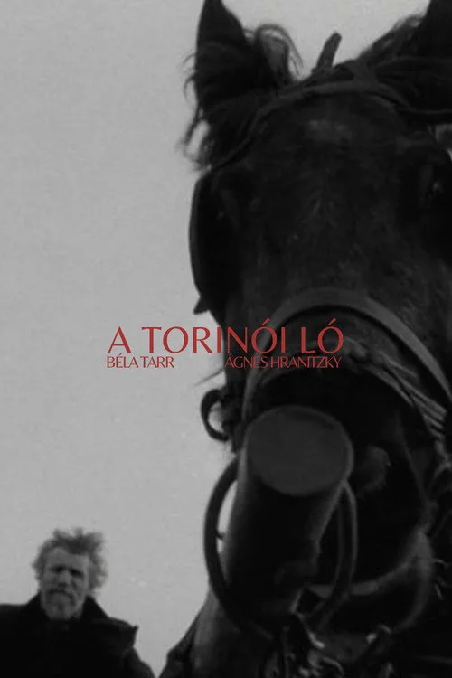 Torino Atı film posteri
