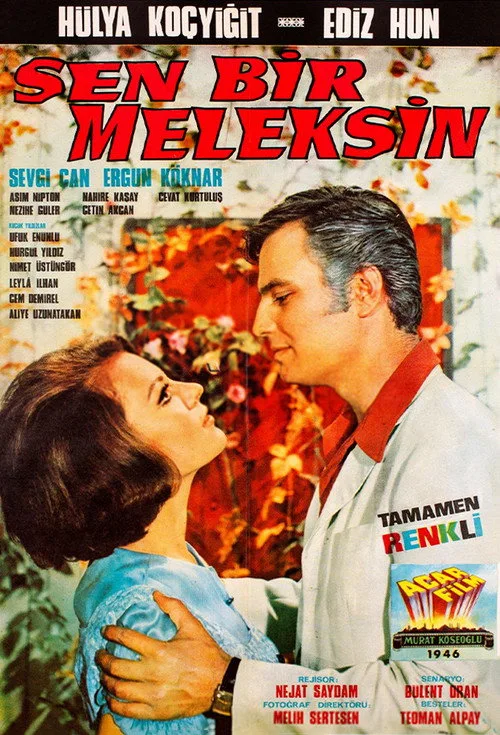 Sen Bir Meleksin film posteri