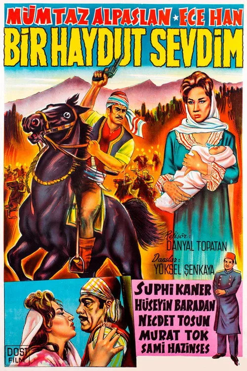 Bir Haydut Sevdim film posteri