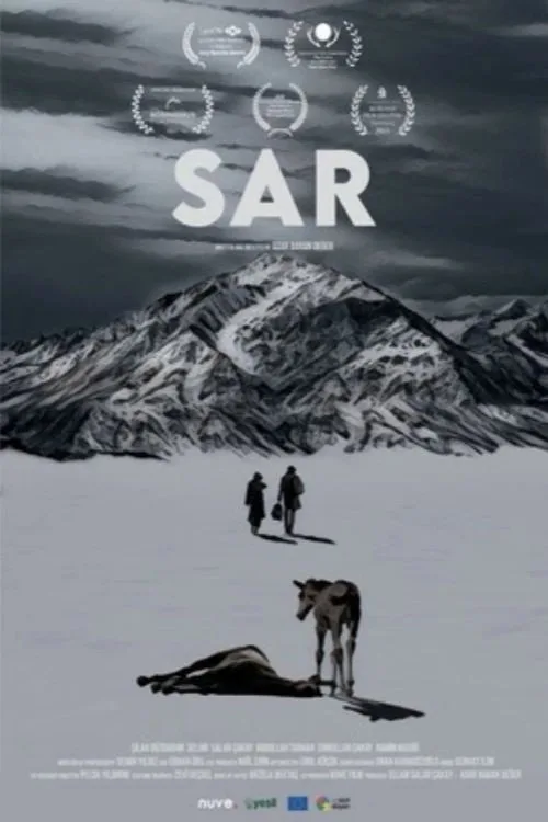 Soğuk film posteri