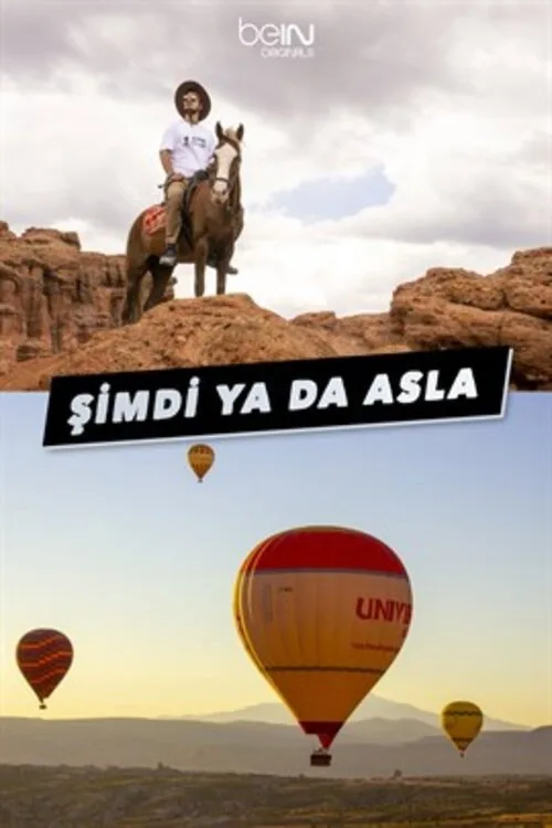 Şimdi Ya Da Asla dizi posteri