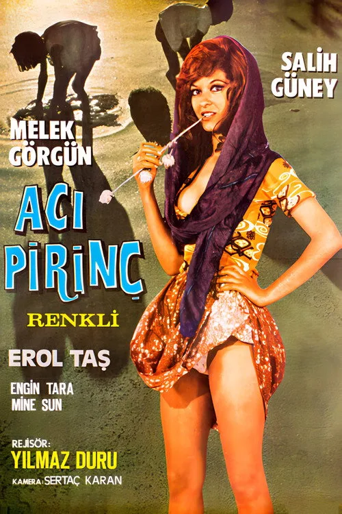 Acı Pirinç film posteri