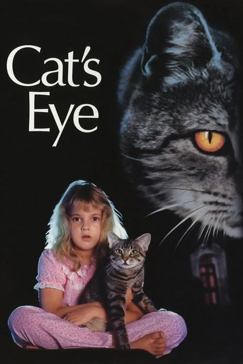 Kedi Gözü film posteri