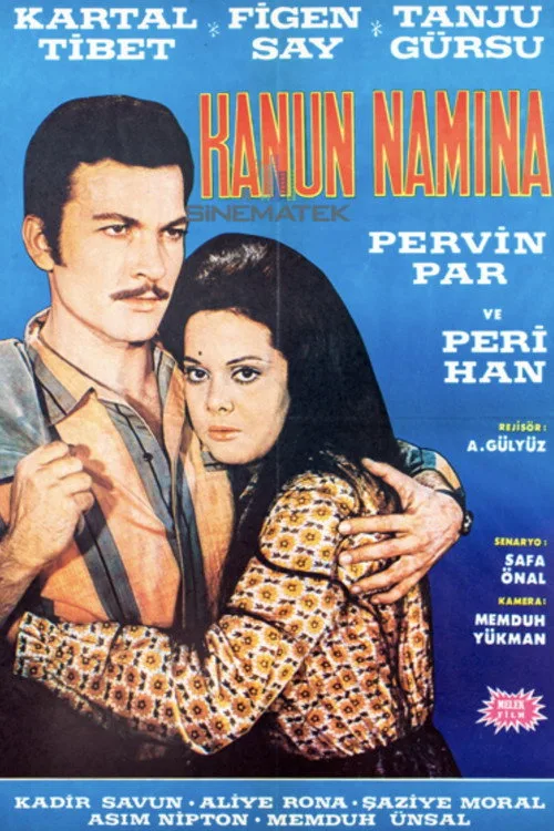 Kanun Namına film posteri