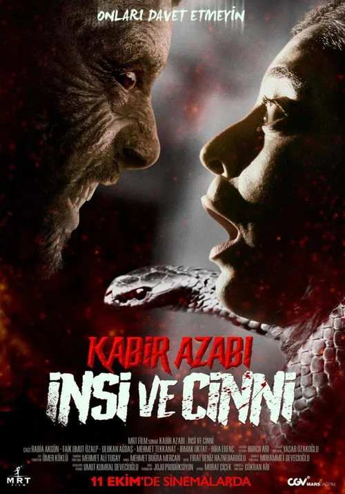 Kabir Azabı: İnsi ve Cinni film posteri