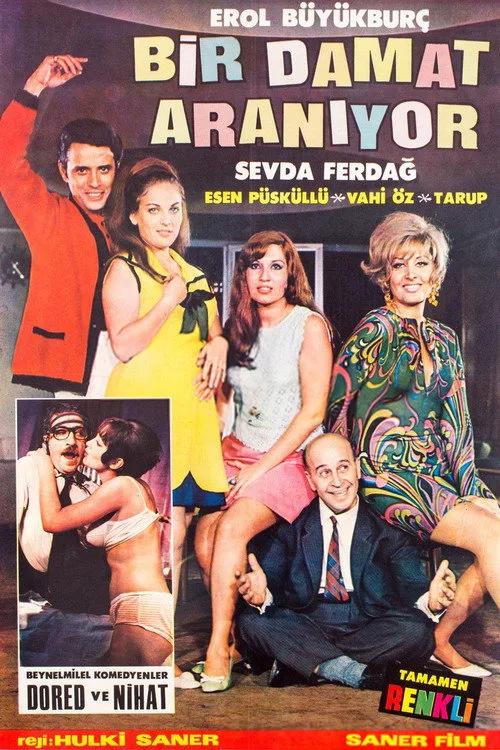 Bir Damat Aranıyor film posteri