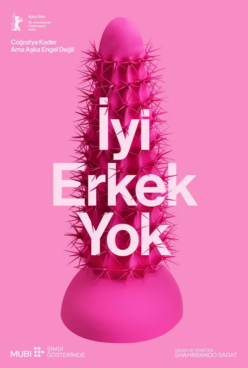 İyi Erkek Yok film posteri