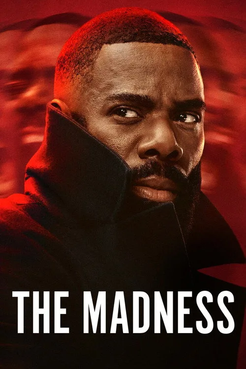 The Madness dizi posteri